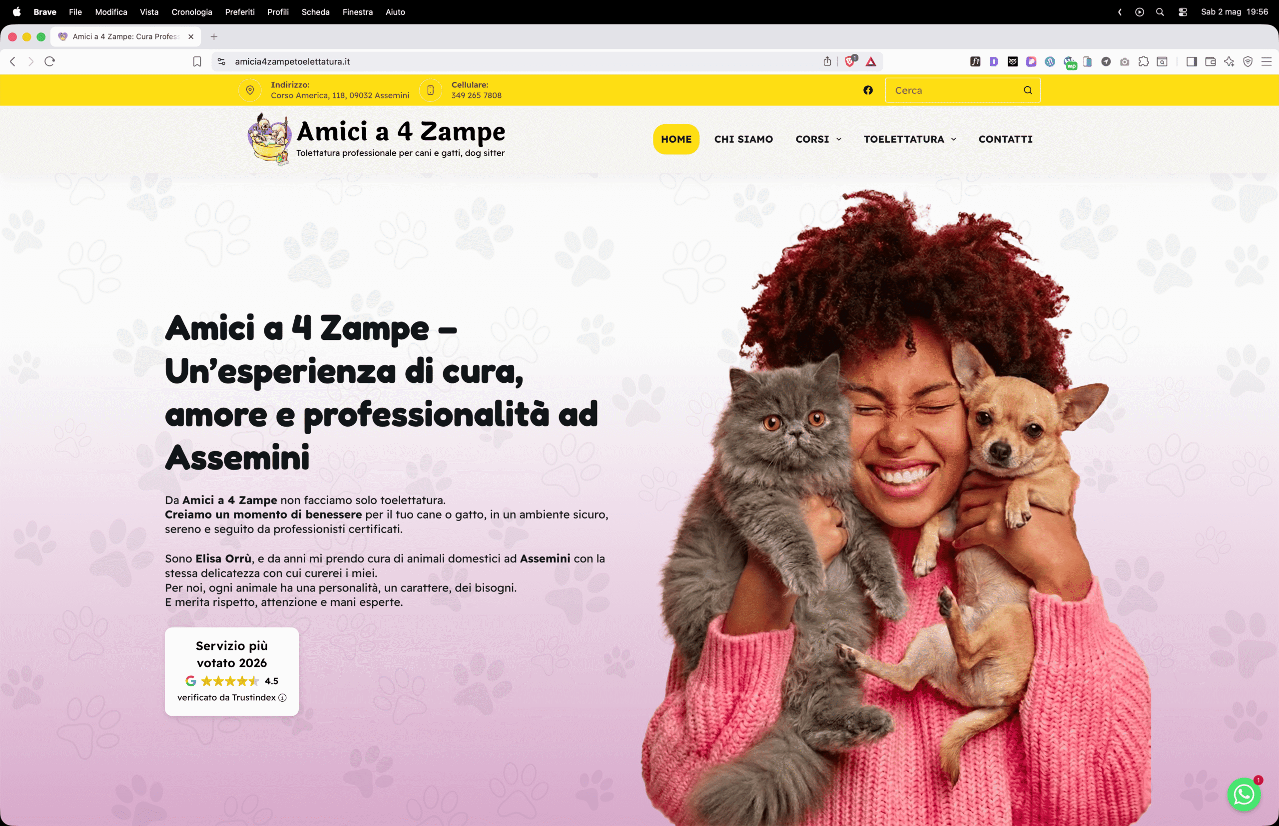 realizzazione sito web amici a 4 zampe