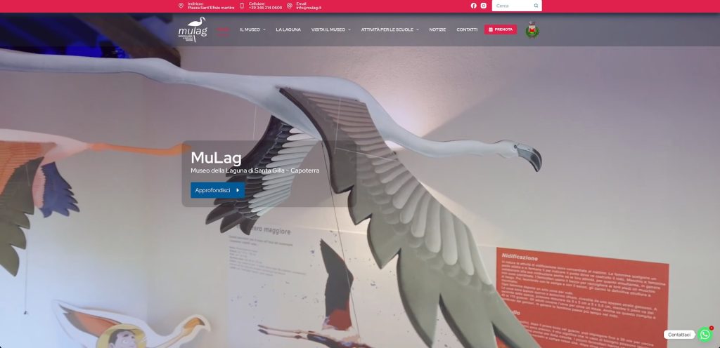 Realizzazione Sito Web MULAG